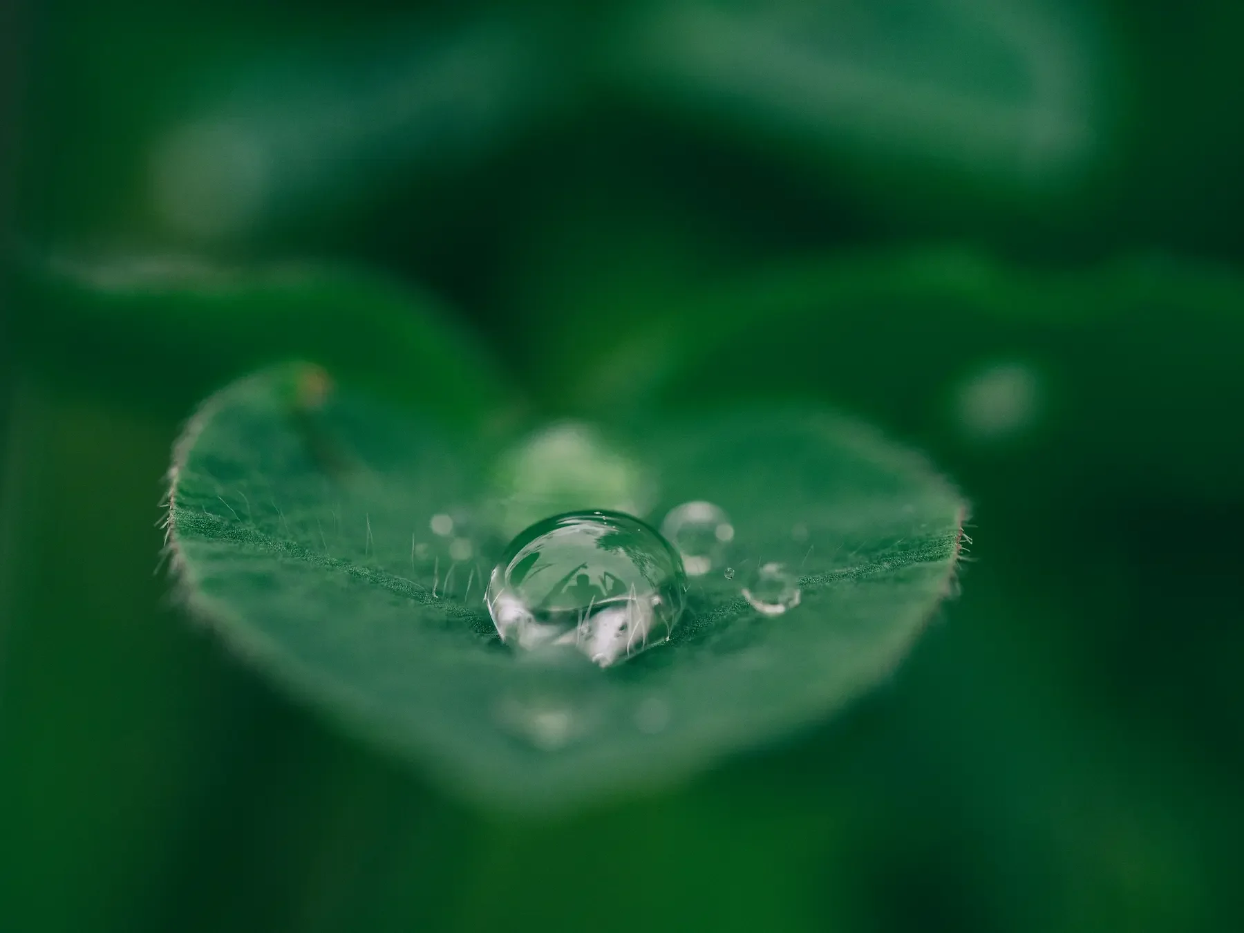 unsplash/aaron-burden